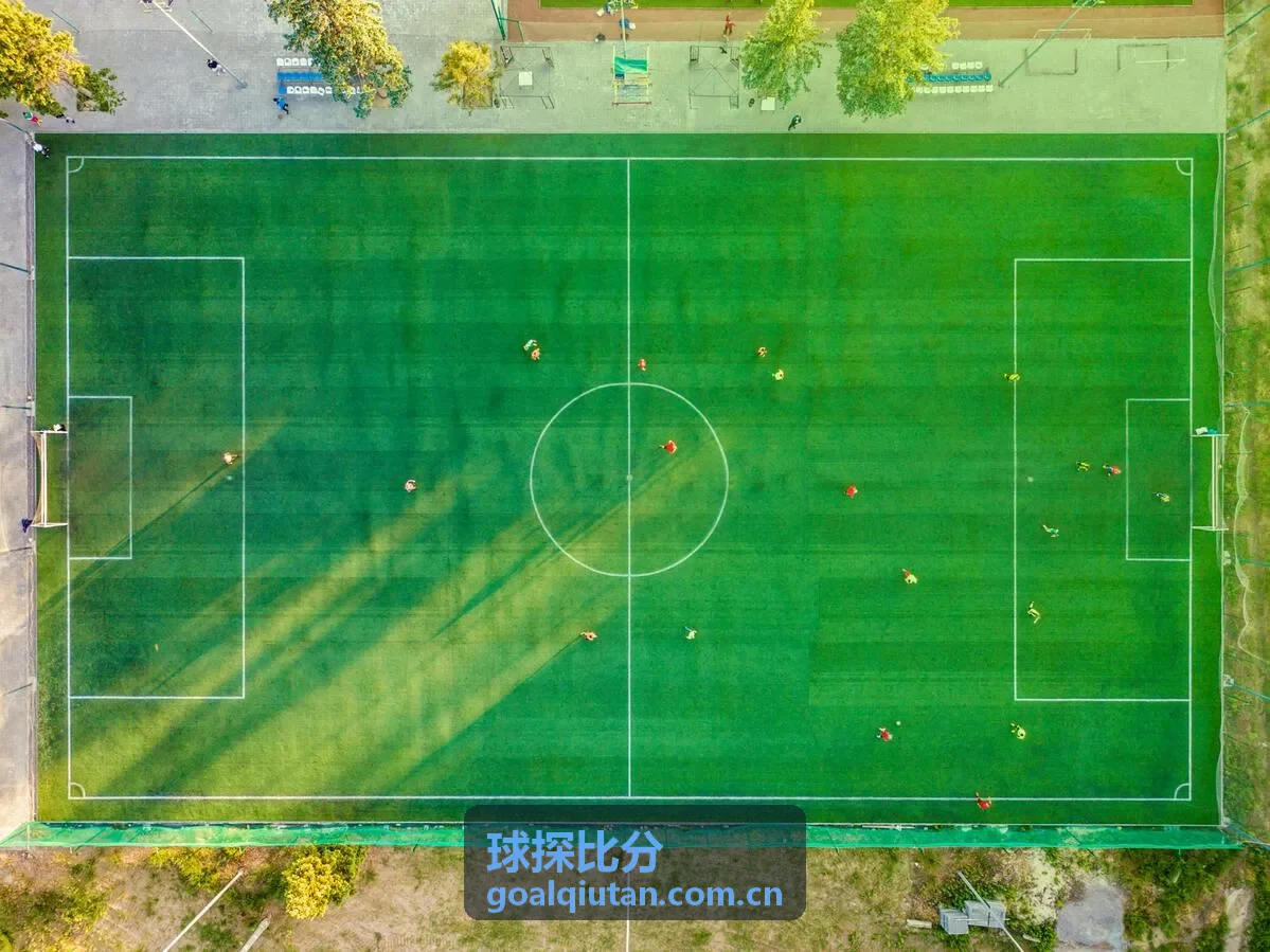 球探比分德甲联赛直播封面